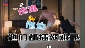 西瓜先生爆料泰蜜视频,独家揭秘幕后真相